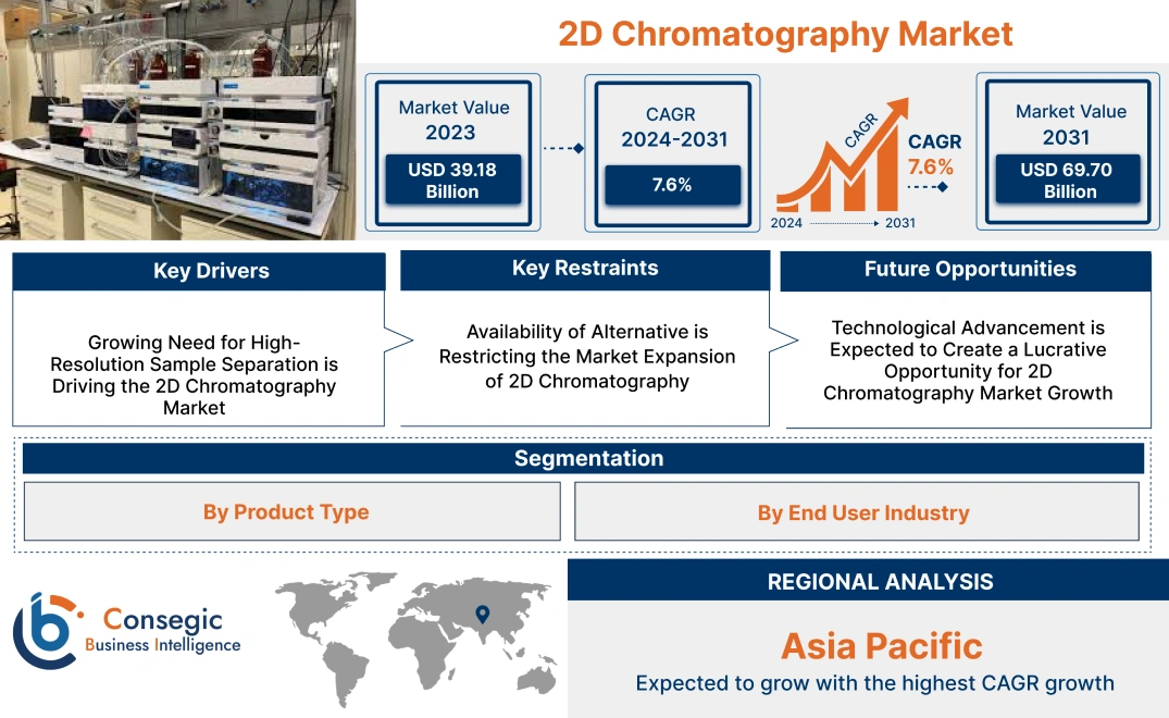 2D Chromatography Market