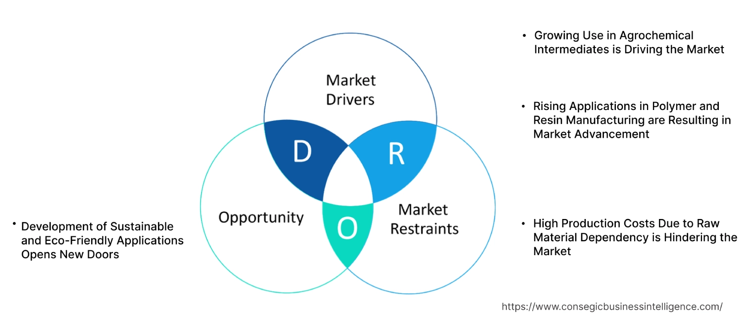 3,3-Dimethylacrylic Acid Methyl Ester Market Dynamics