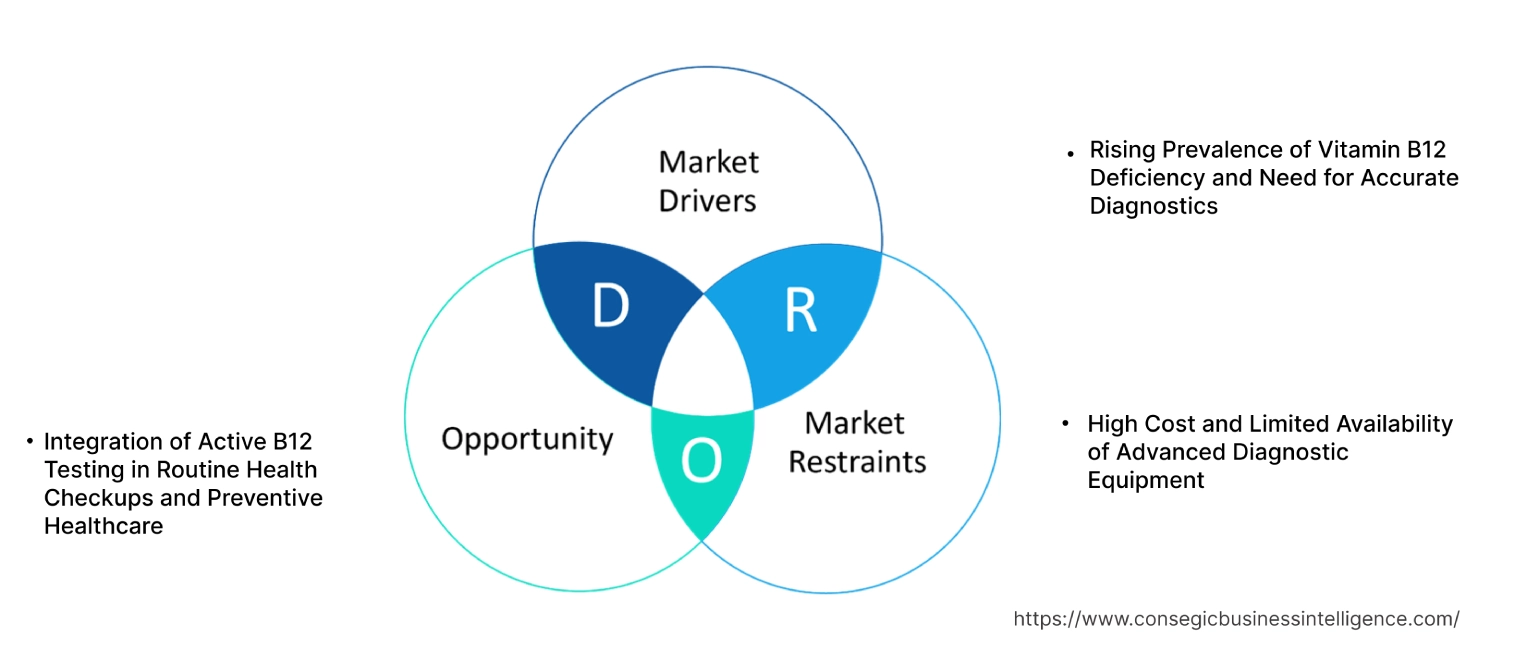 Active B12 Test Market Dynamics