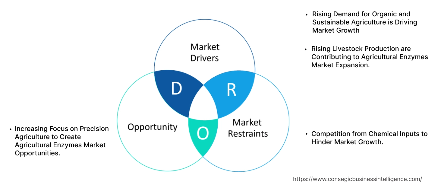 Agricultural Enzymes Market Dynamics