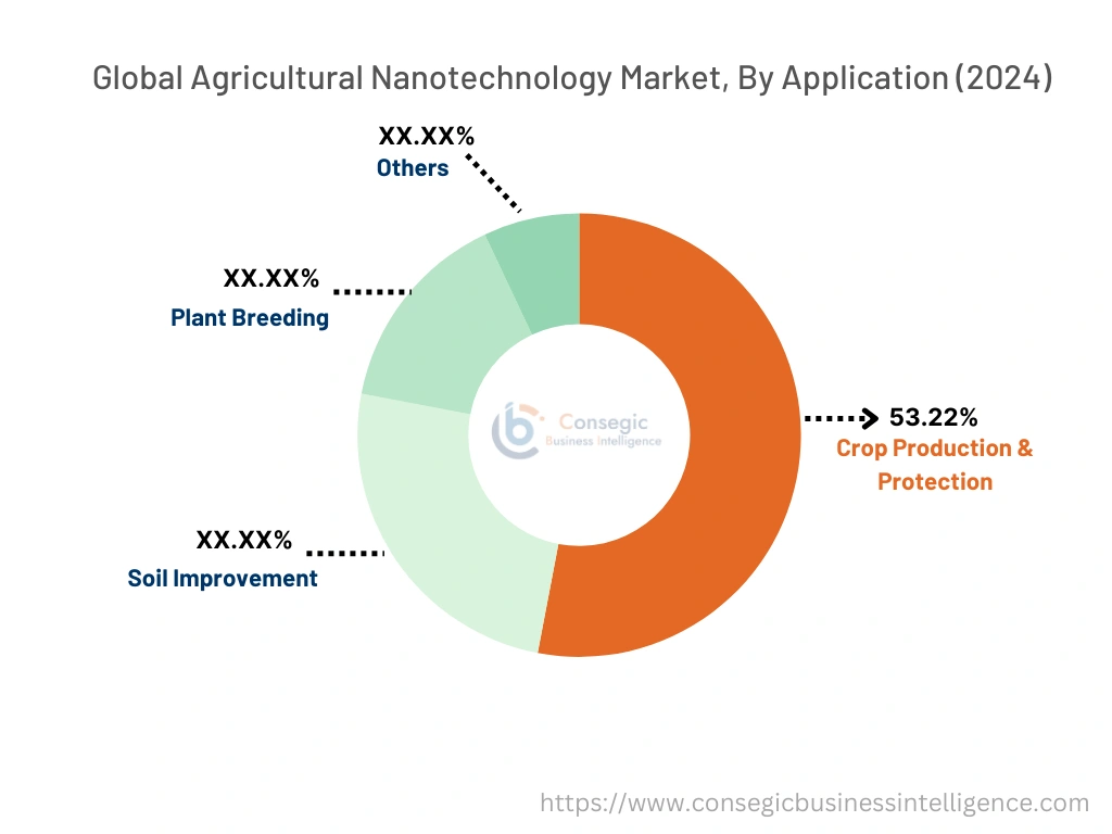 Agricultural Nanotechnology Market By Application