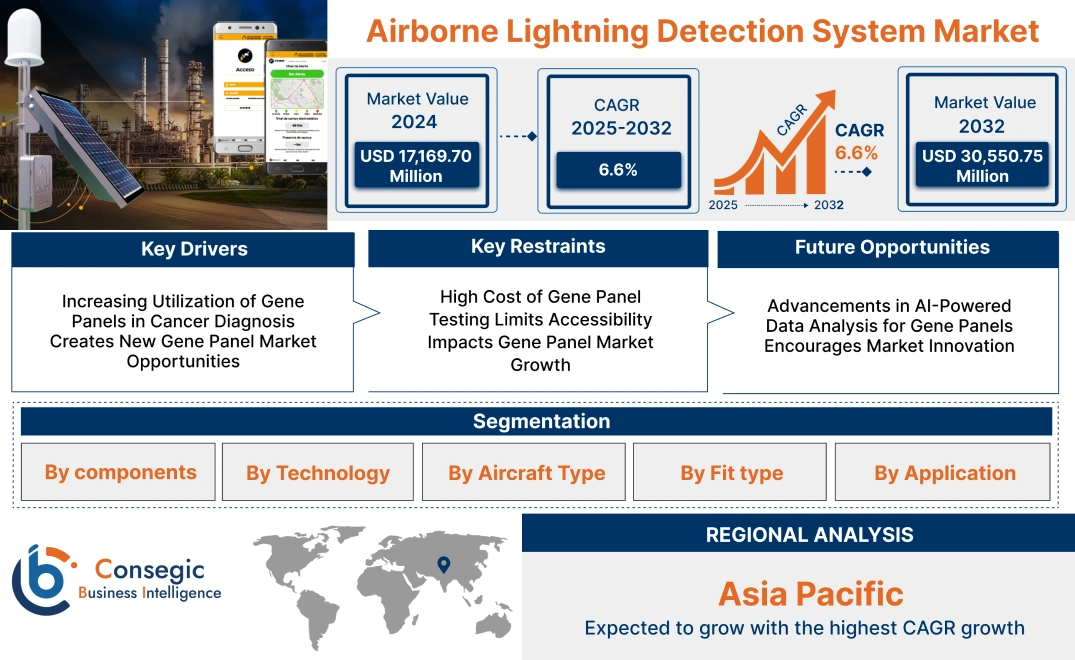 Airborne Lightning Detection System Market 