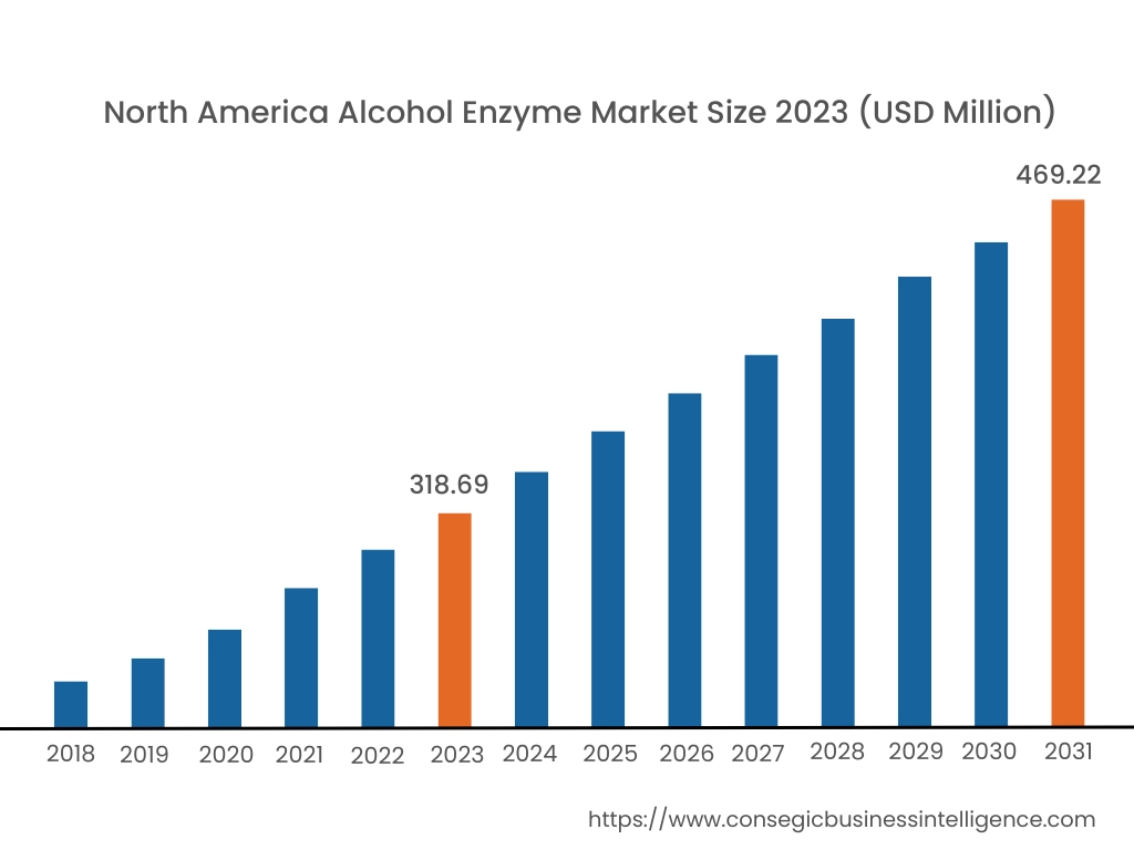 Alcohol Enzyme Market By Region