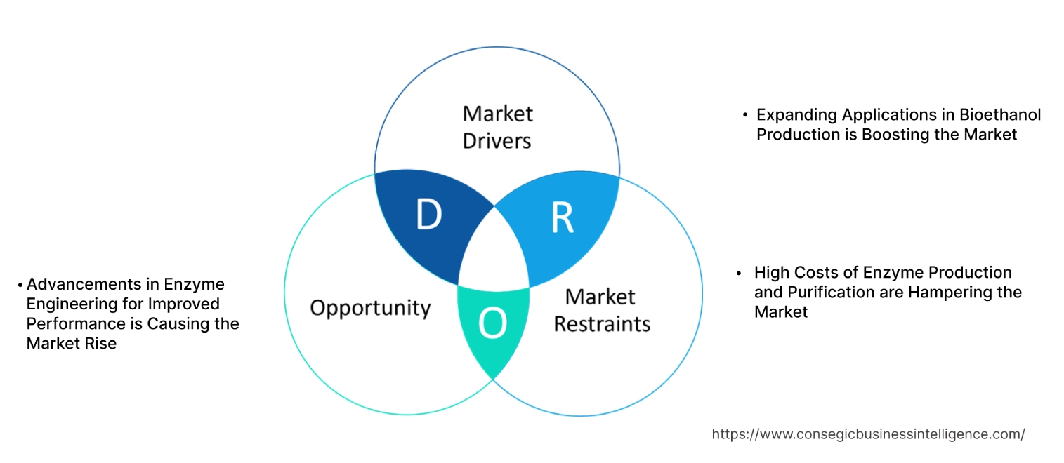 Alcohol Enzyme Market Dynamics