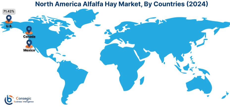 Alfalfa Hay Market By Country