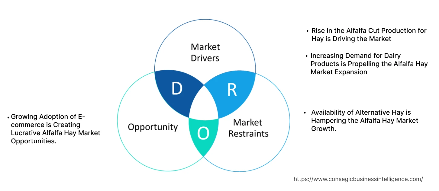 Alfalfa Hay Market Dynamics