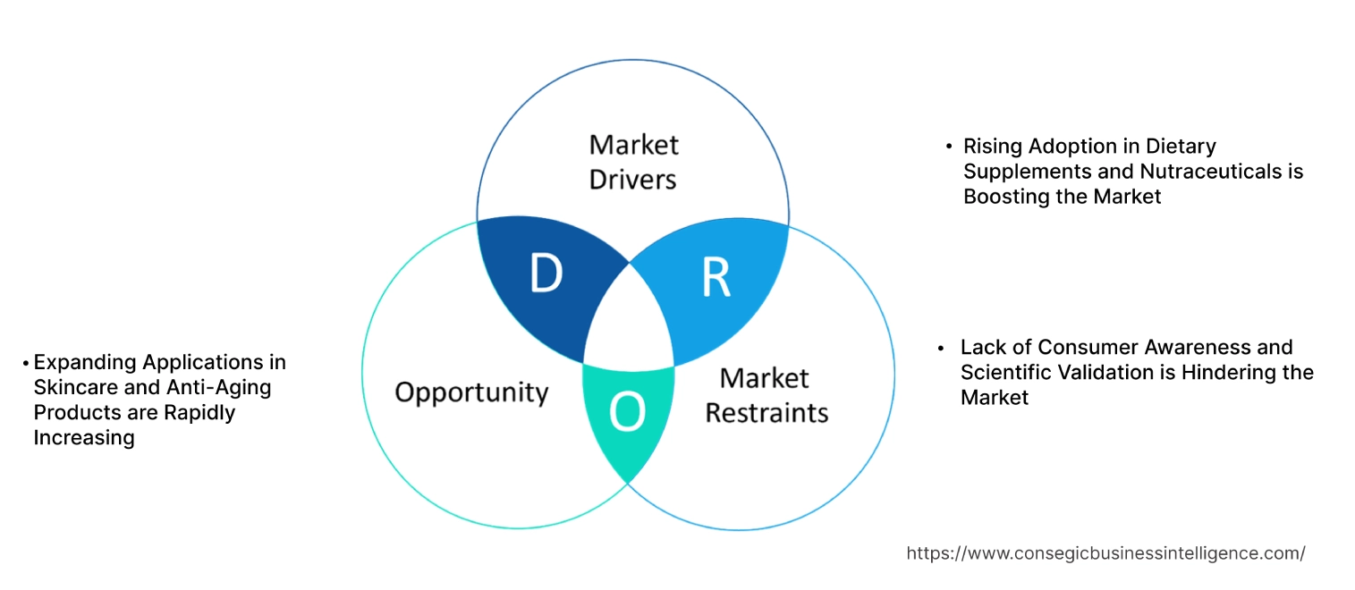 Alpha Lipoic Acid Market Dynamics