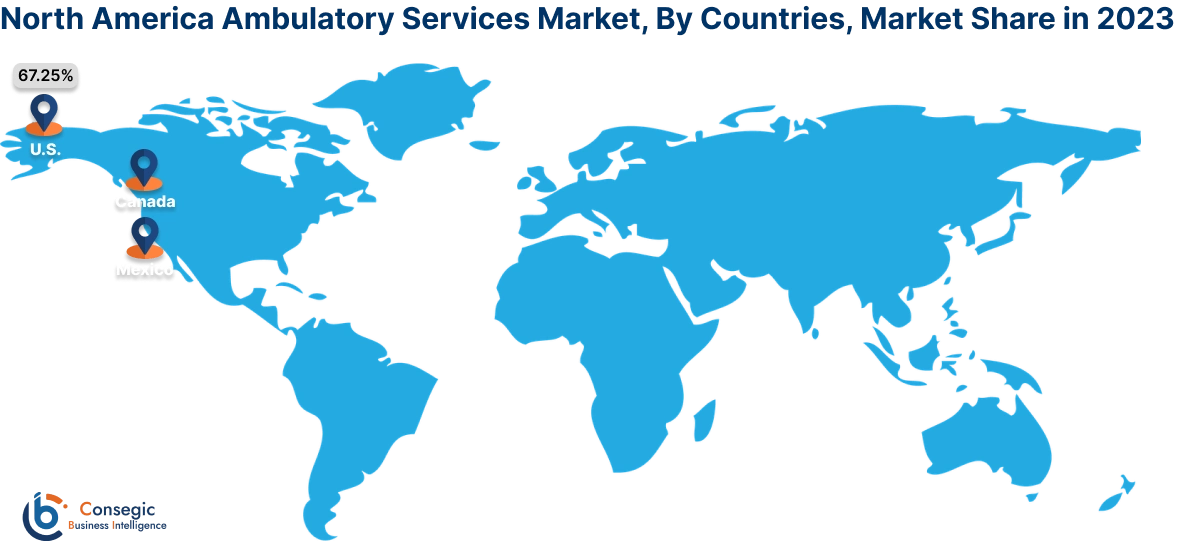 Ambulatory Services Market By Country