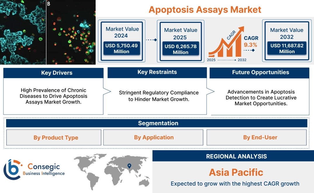 Apoptosis Assays Market