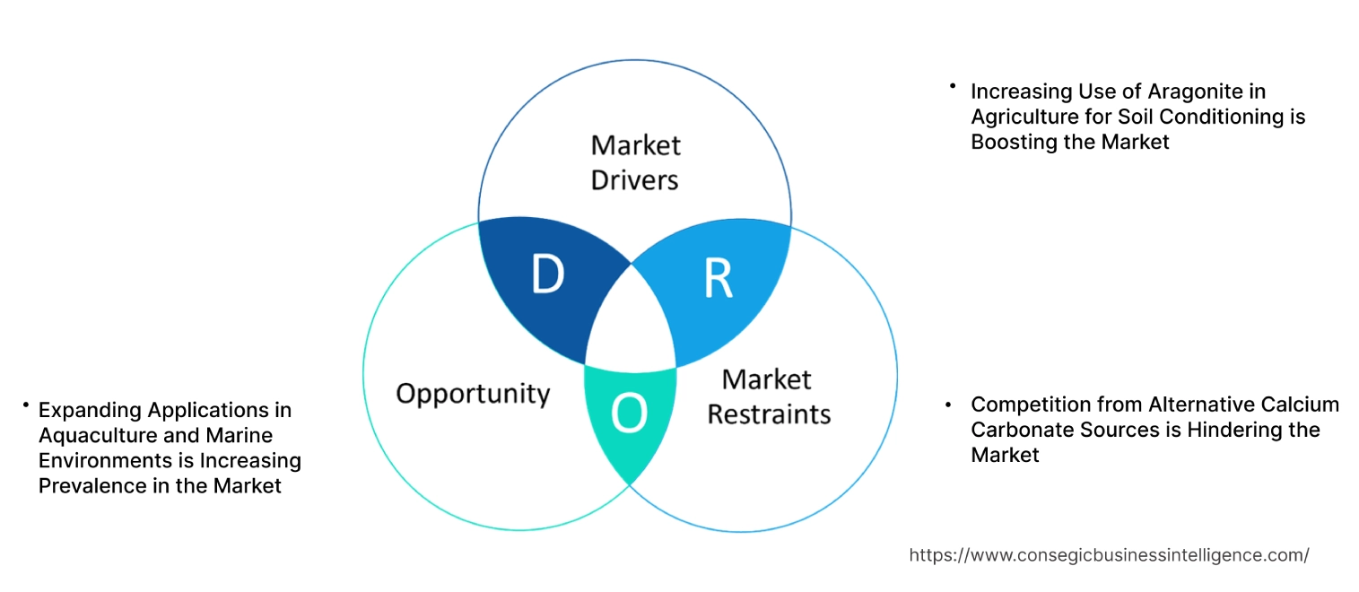 Aragonite Market Dynamics