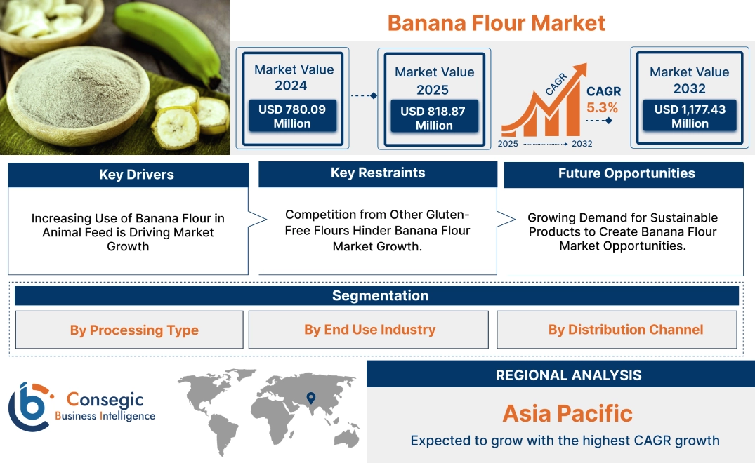 Banana Flour Market