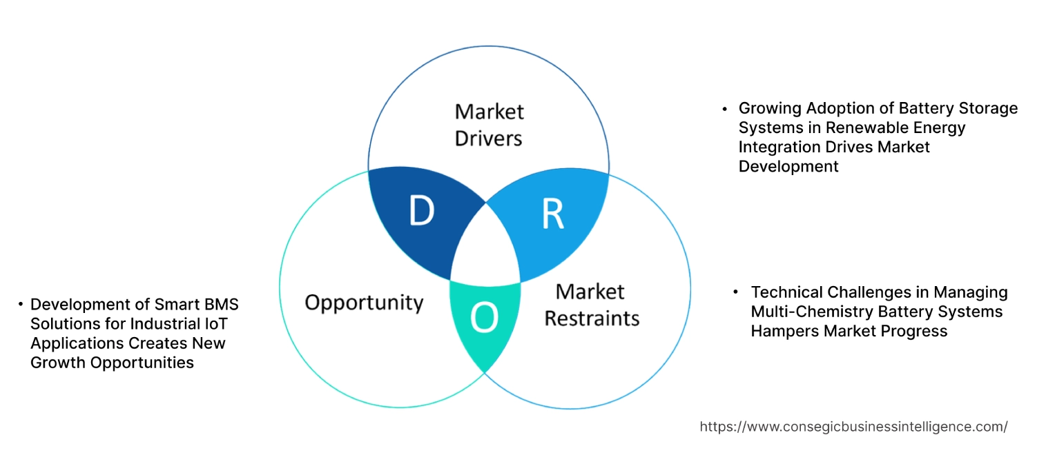 Battery Management System Market Dynamics