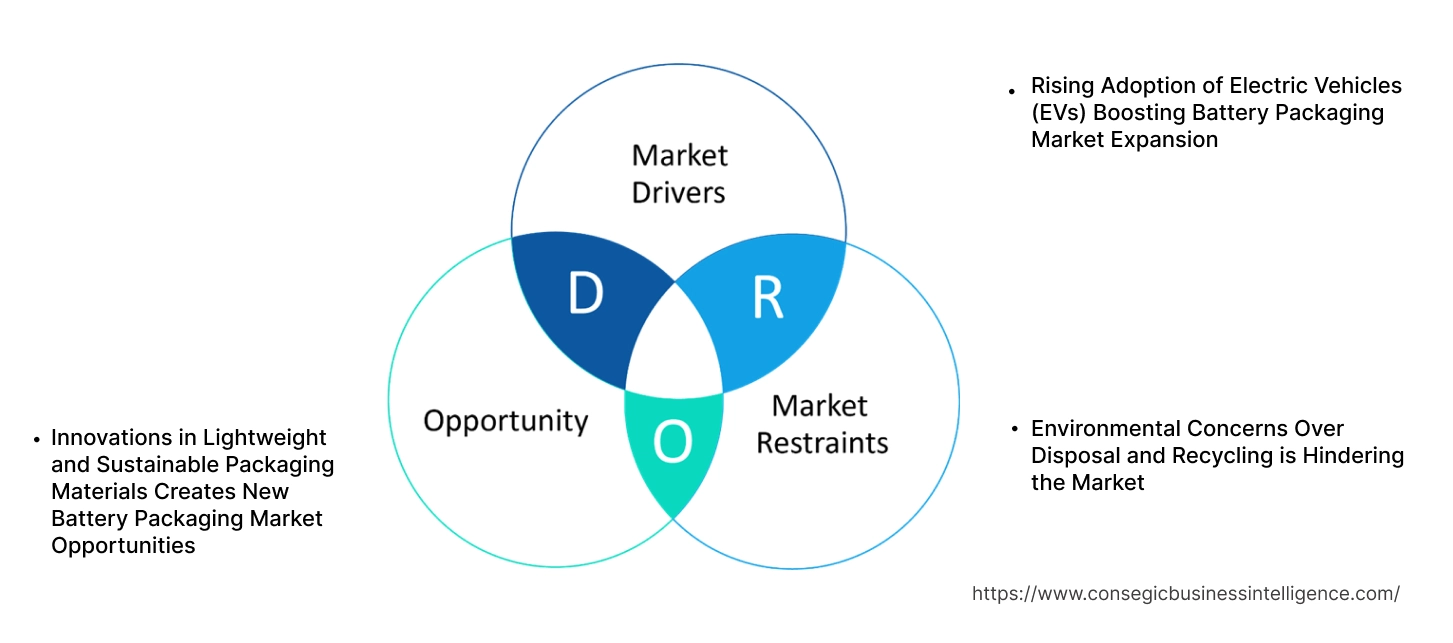 Battery Packaging Market Dynamics