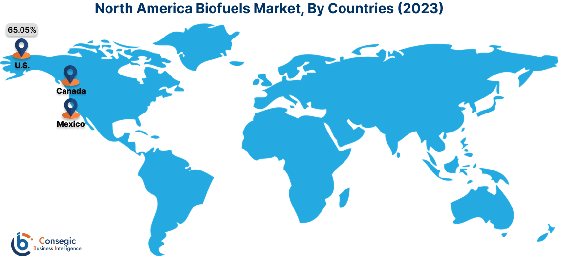 Biofuels Market By Country