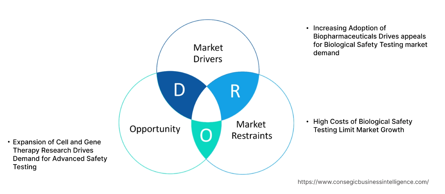 Biological Safety Testing Market Dynamics