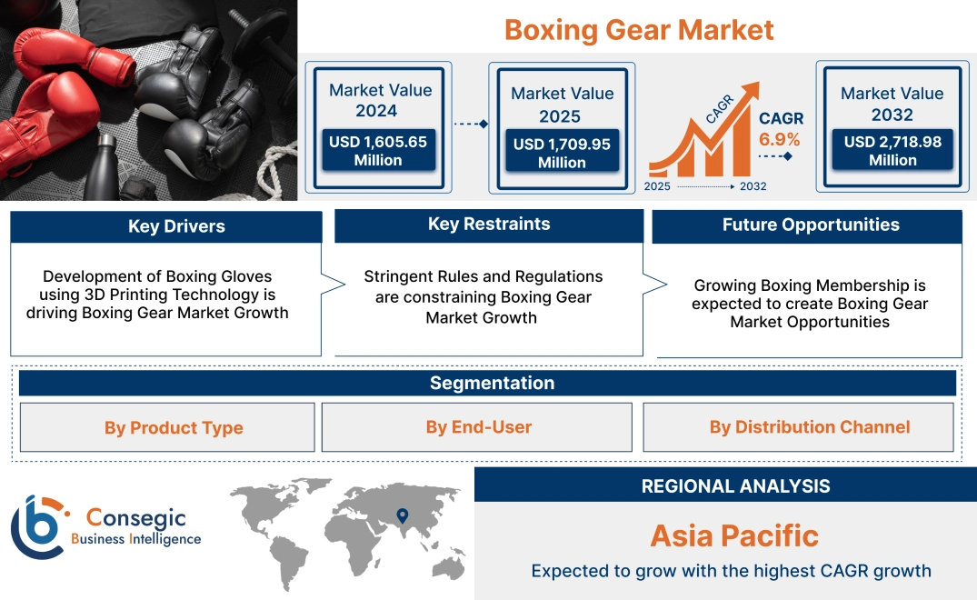 Boxing Gear Market