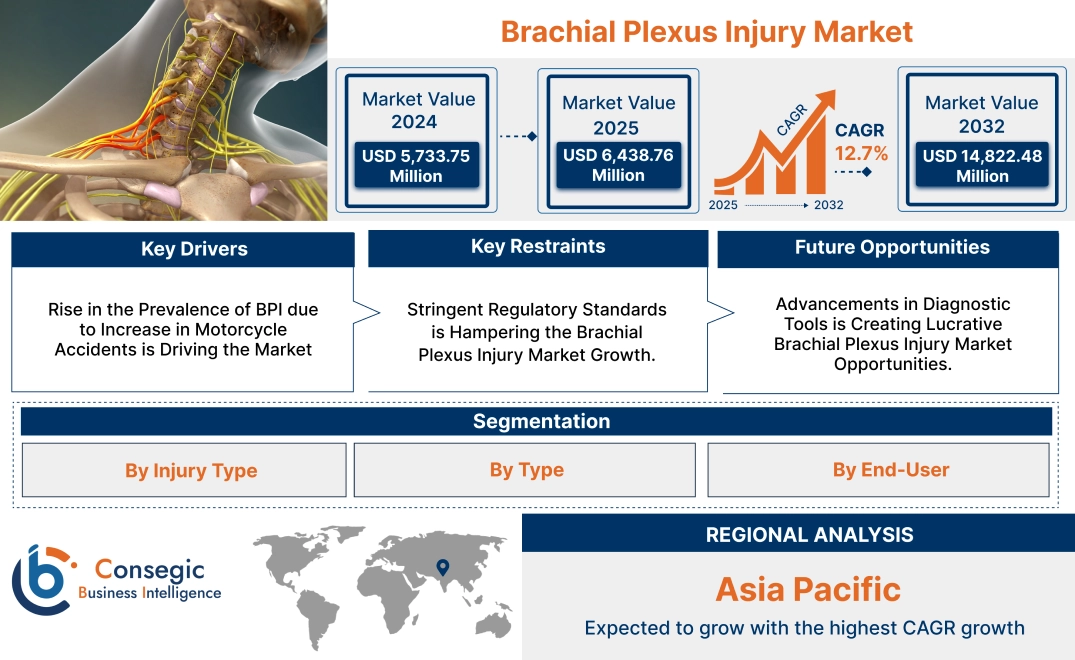 Brachial Plexus Injury Market