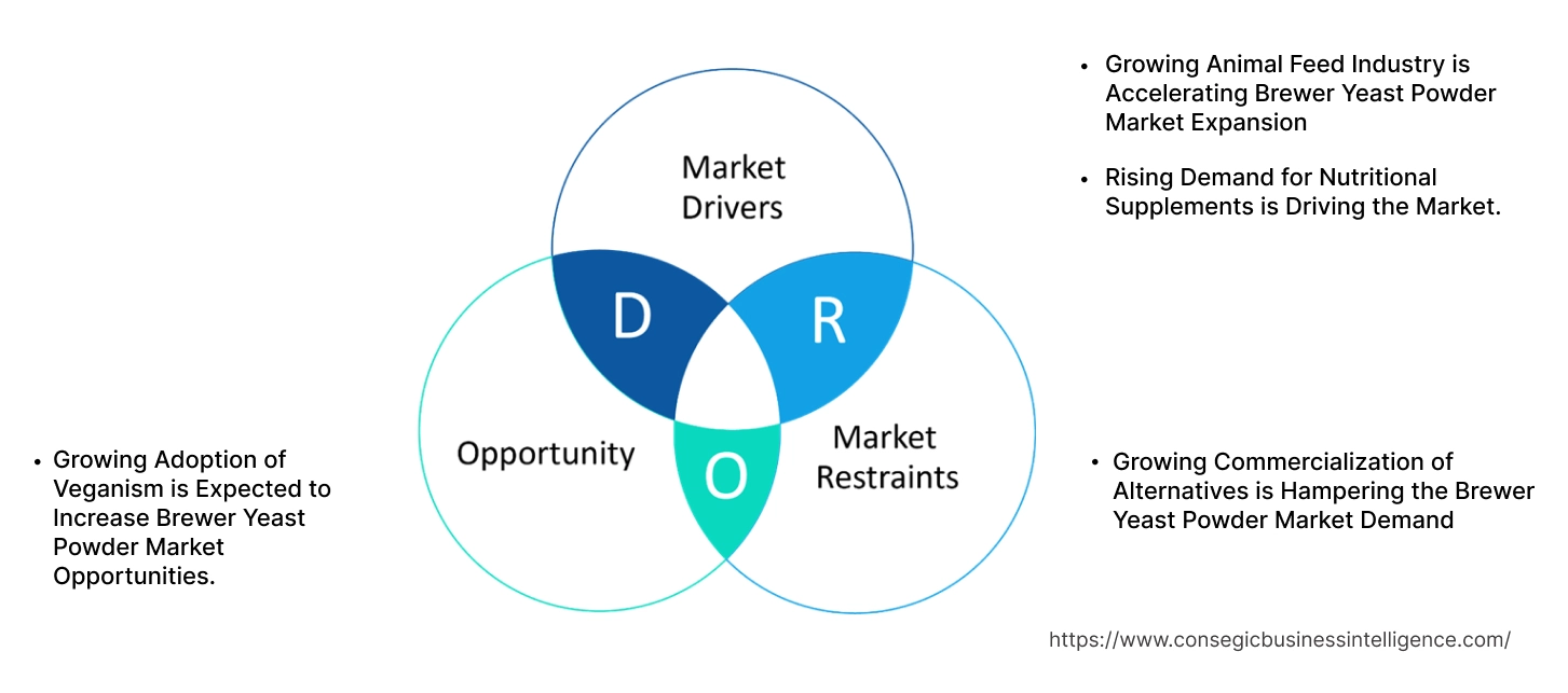 Brewer Yeast Powder Market Dynamics