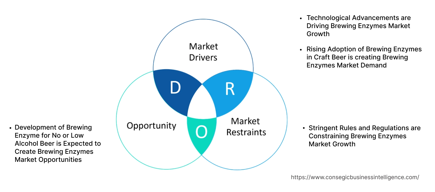 Brewing Enzymes Market Dynamics