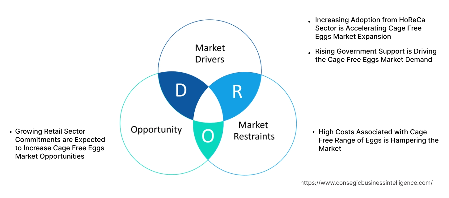 Cage Free Eggs Market Dynamics