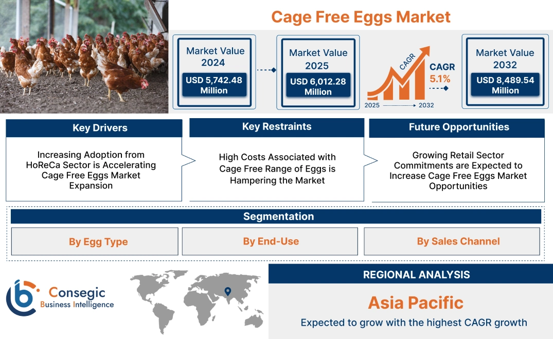 Cage Free Eggs Market