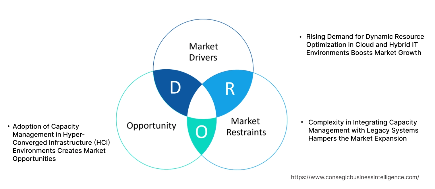 Capacity Management Market Dynamics