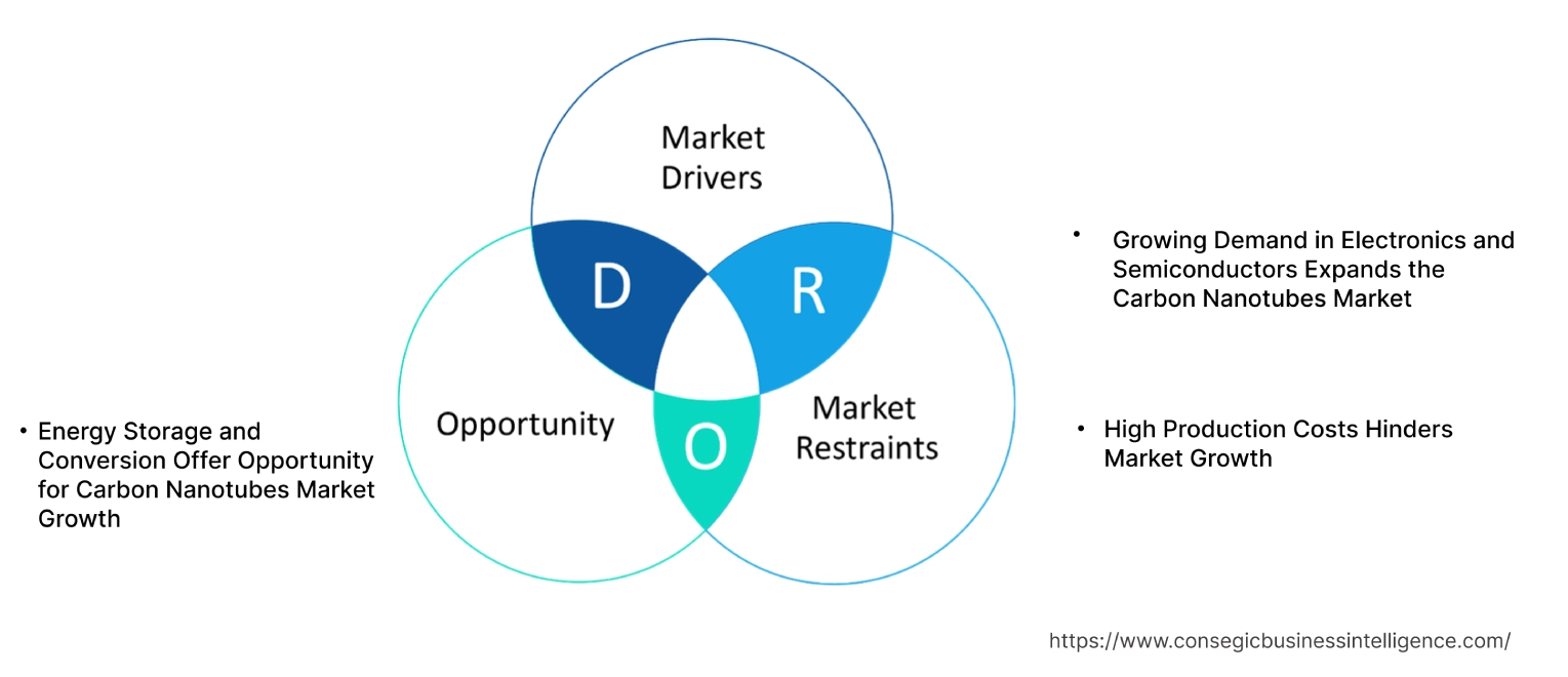 Carbon Nanotubes Market Dynamics