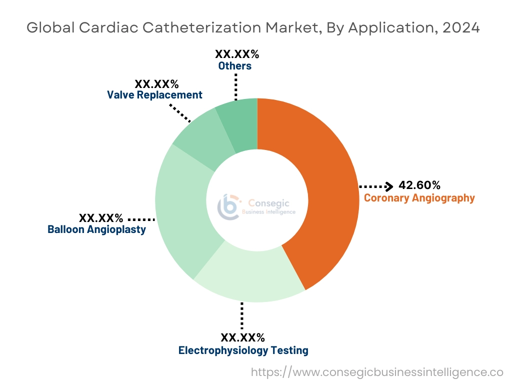 Cardiac Catheterization Market By Application