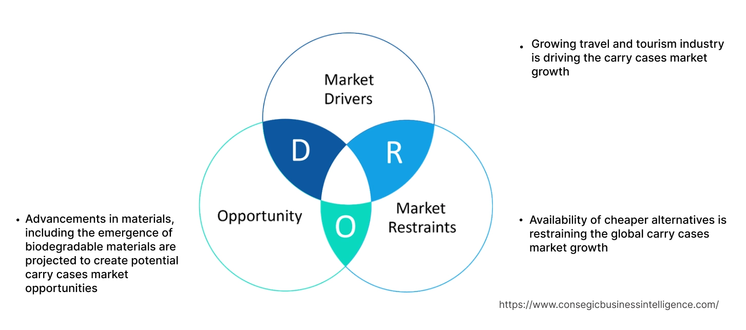 Carry Cases Market Dynamics