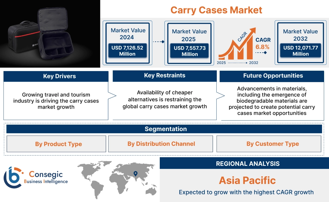 Carry Cases Market