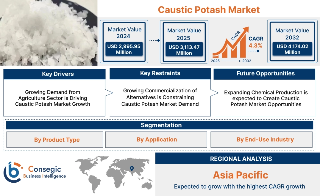 Caustic Potash Market