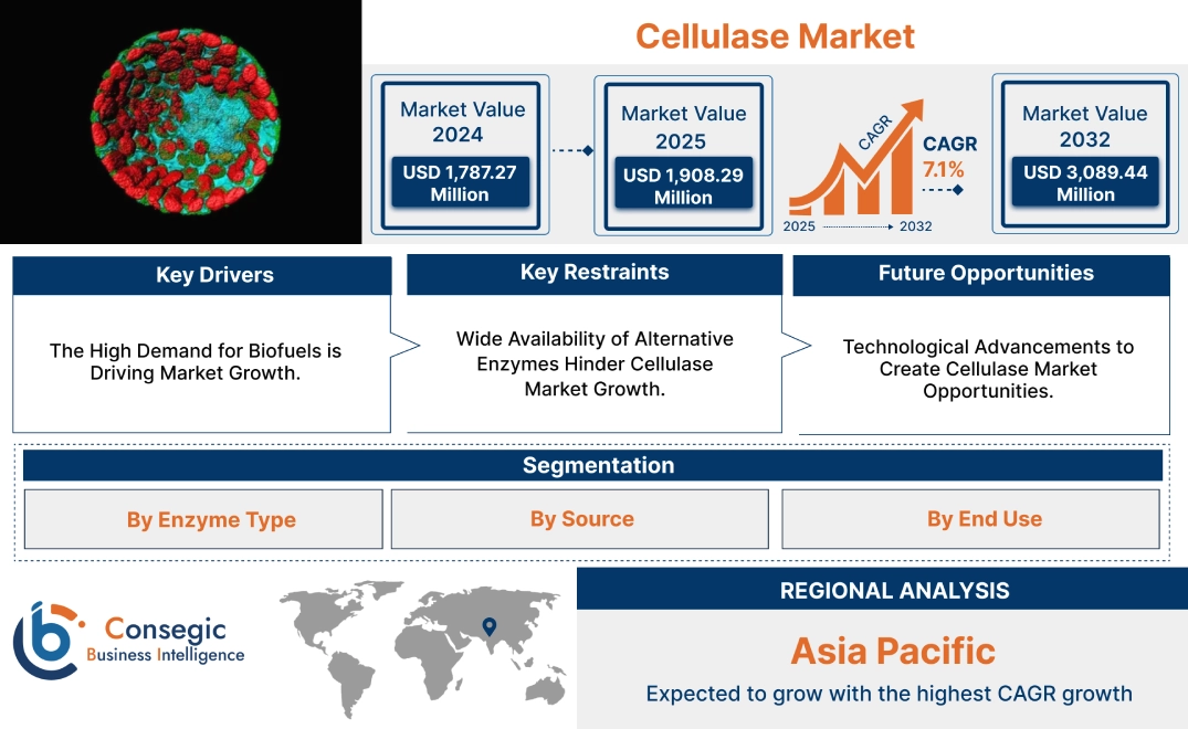 Cellulase Market