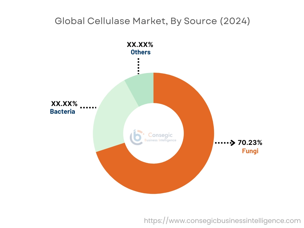 Cellulase Market By Source