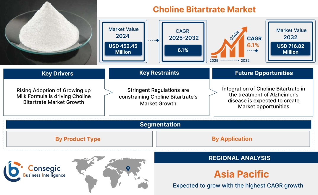 Choline Bitartrate Market 