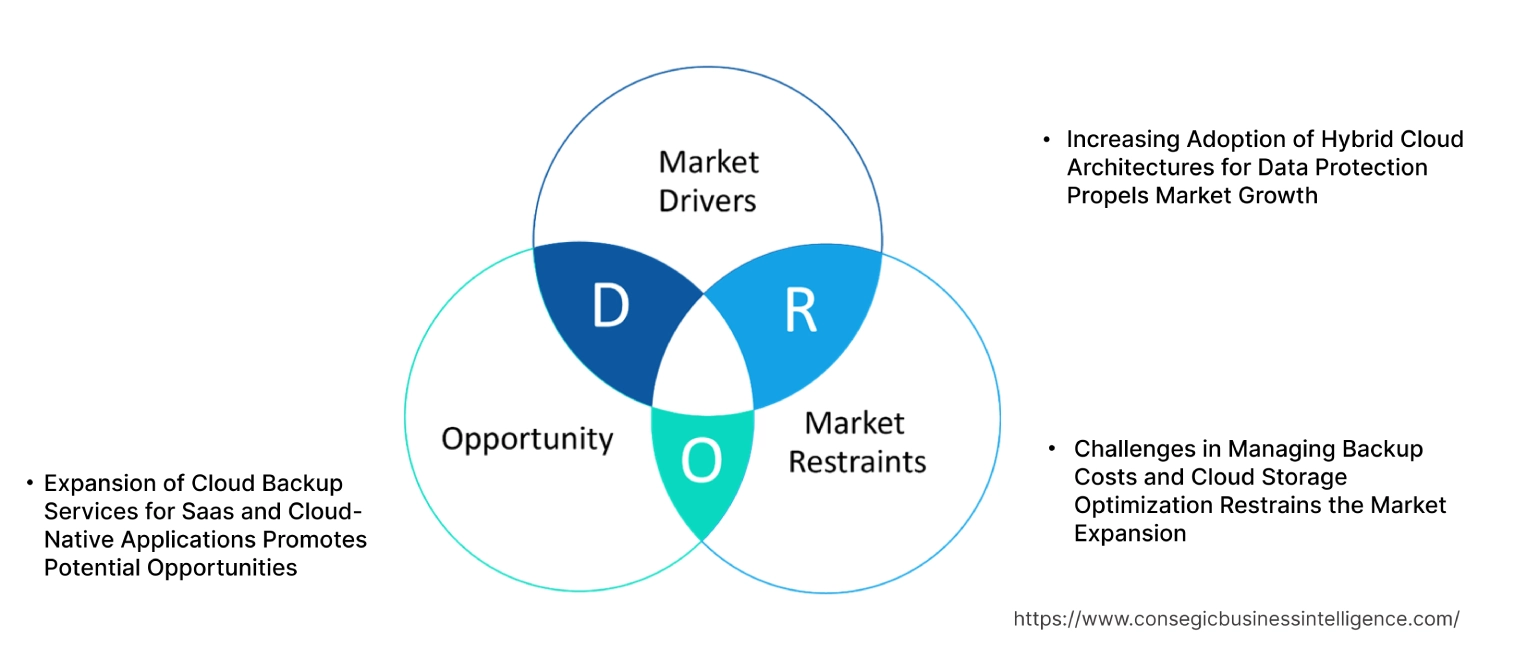 Cloud Backup Market Dynamics