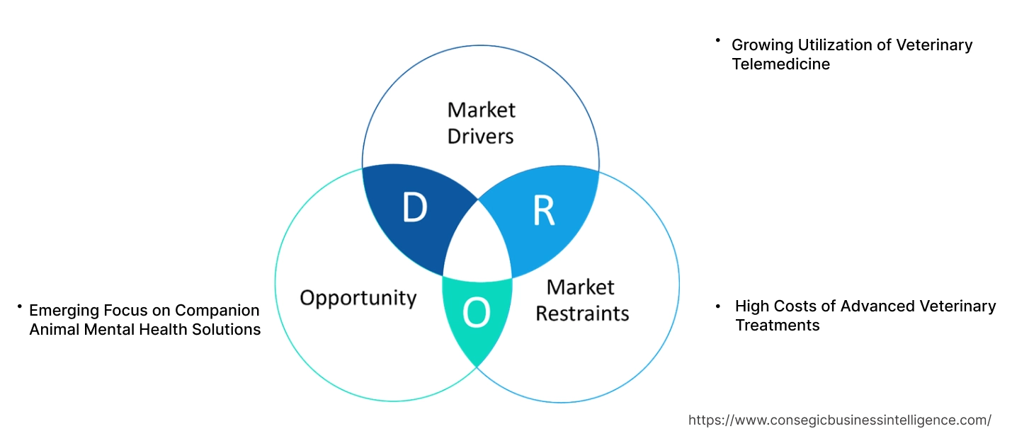 Companion Animal Healthcare Market Dynamics