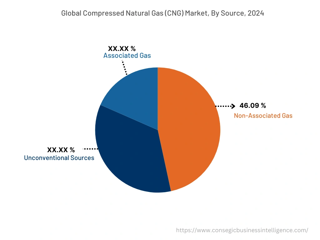 Global Compressed Natural Gas (CNG) Market, By Source, 2024