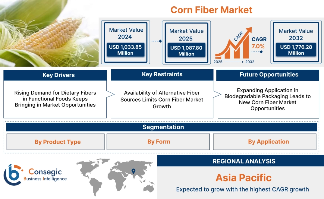 Corn Fiber Market