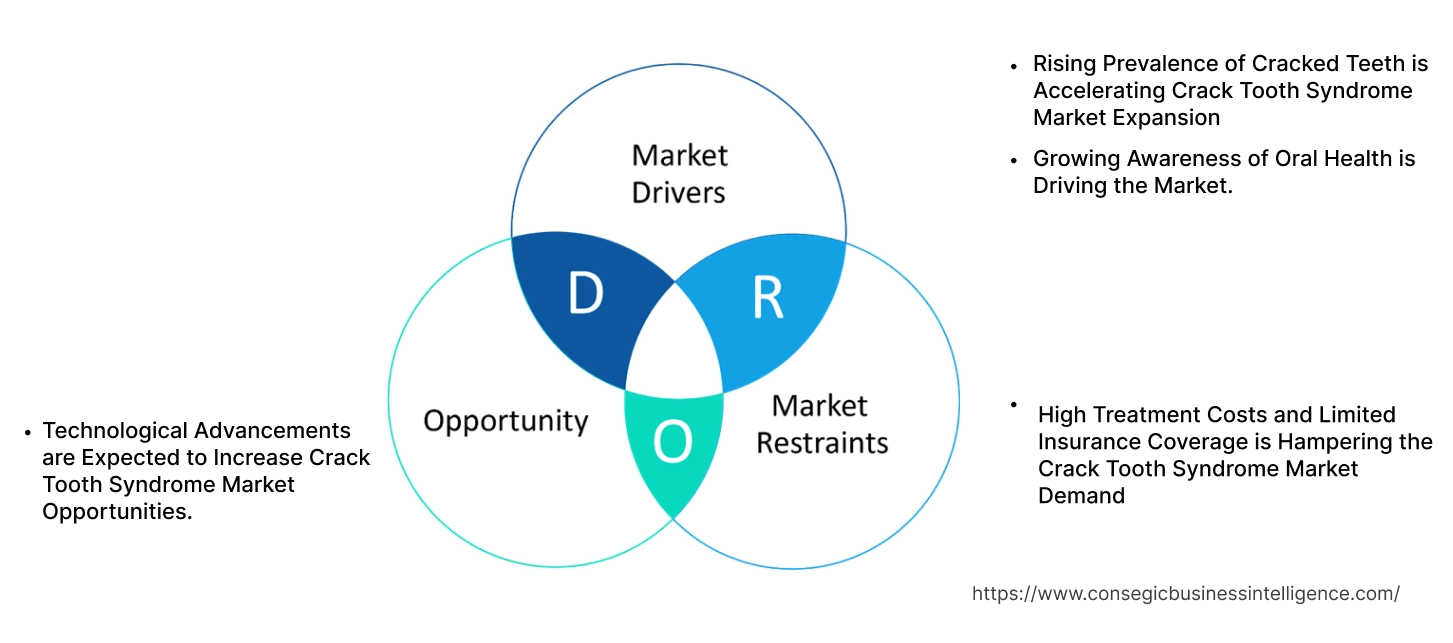 Crack Tooth Syndrome Market Dynamics