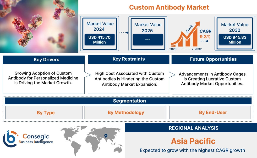 Custom Antibody Market