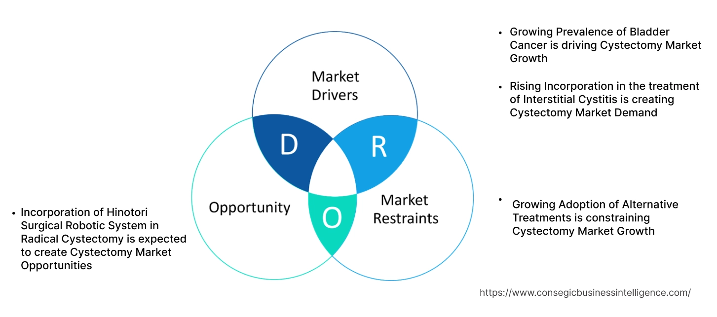 Cystectomy Market Dynamics