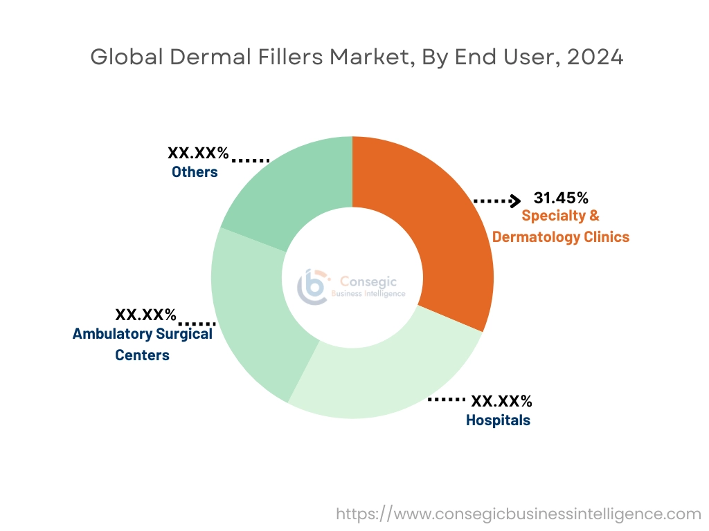 Dermal Fillers Market By End-User