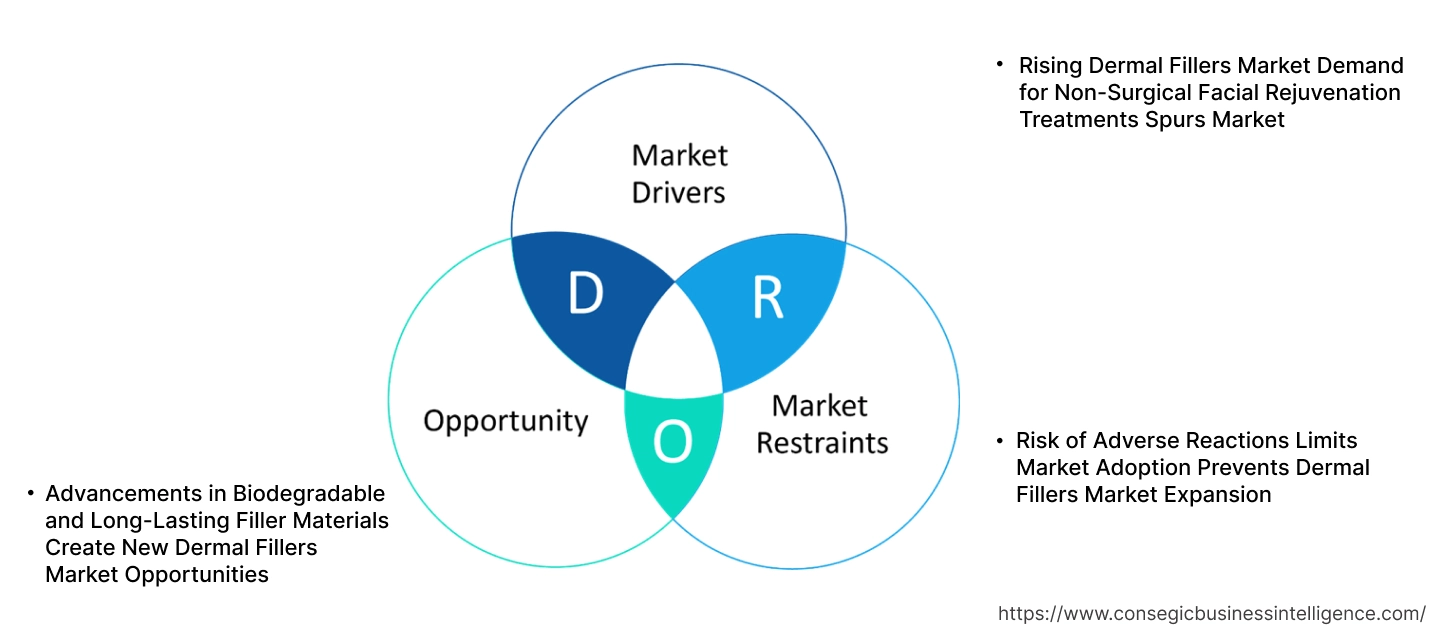 Dermal Fillers Market Dynamics