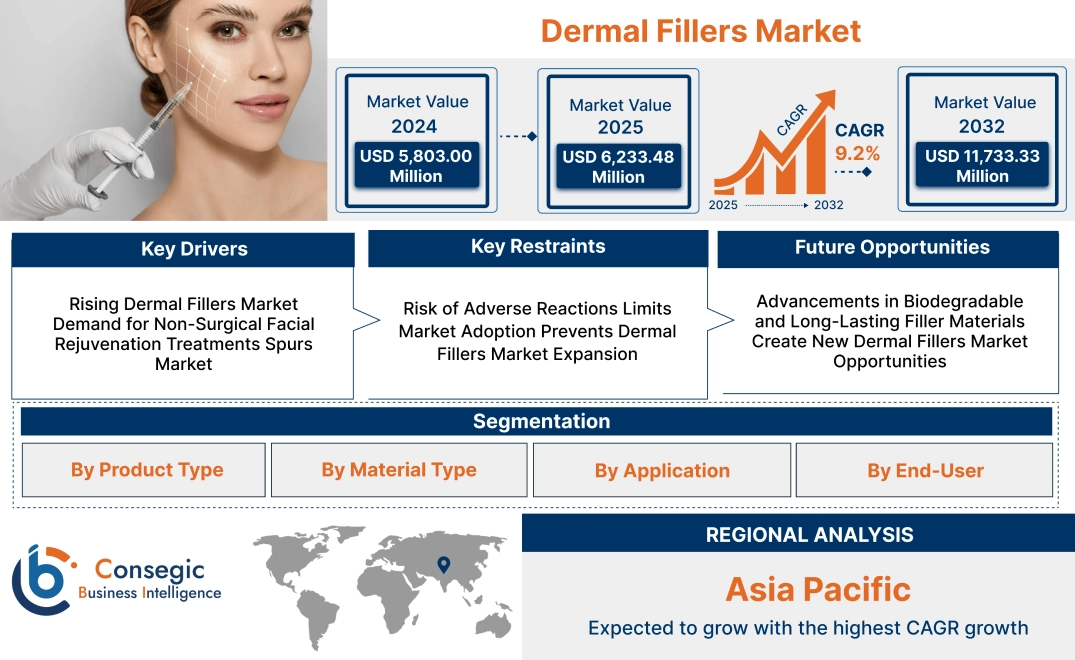 Dermal Fillers Market