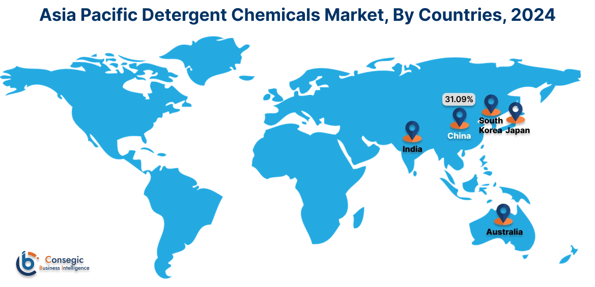 Detergent Chemicals Market By Country