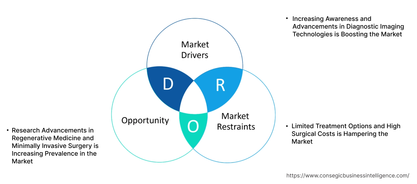 Diastematomyelia Market Dynamics