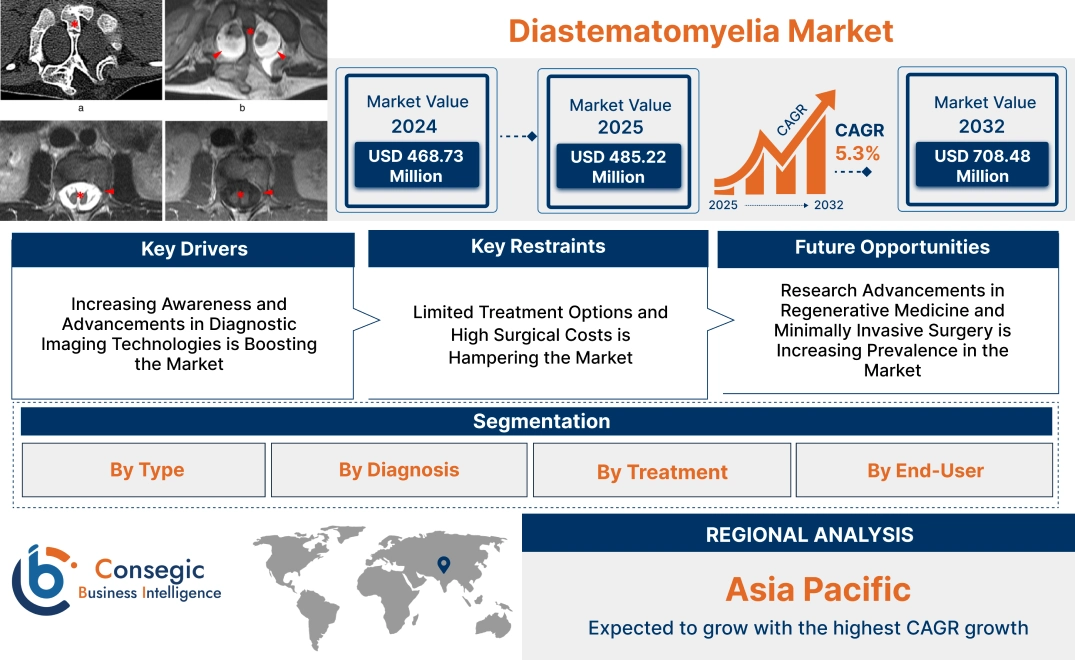 Diastematomyelia Market