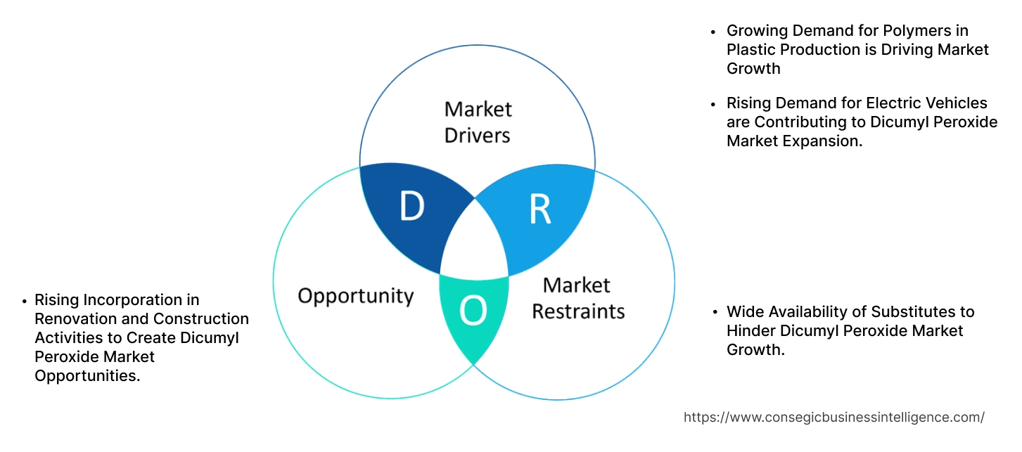 Dicumyl Peroxide Market Dynamics