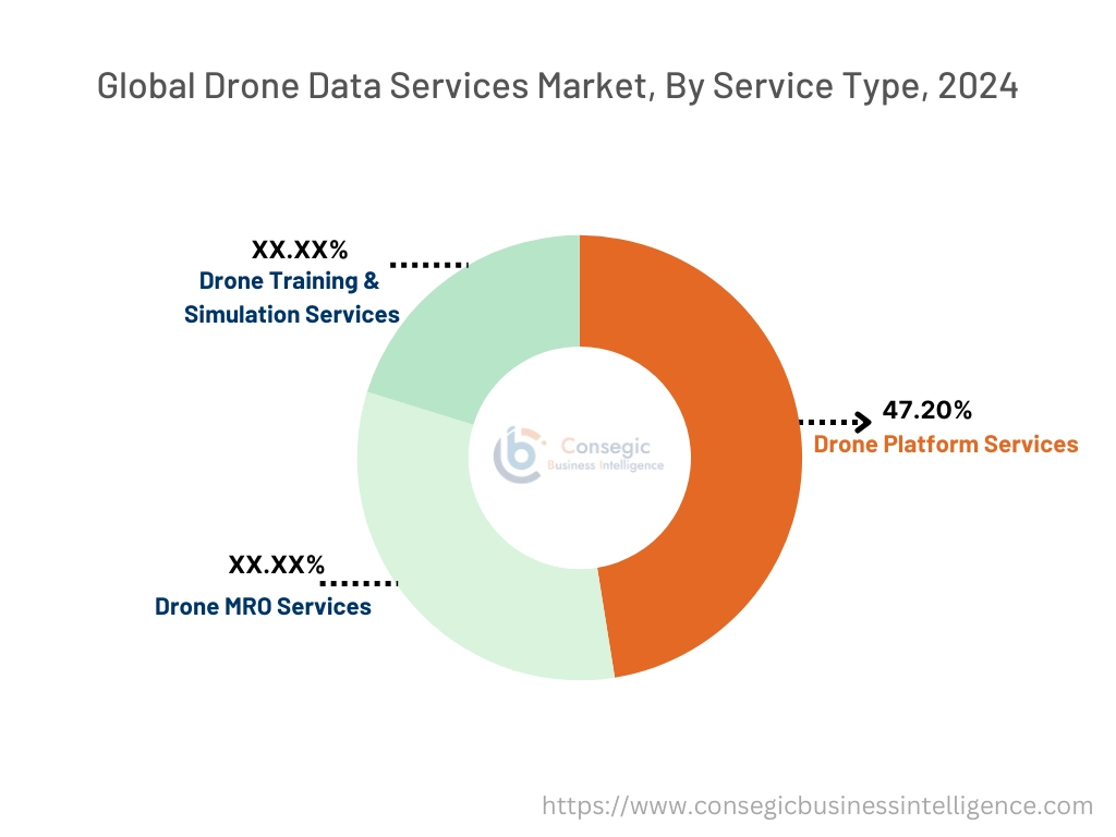 Drone Data Services Market By Service Type