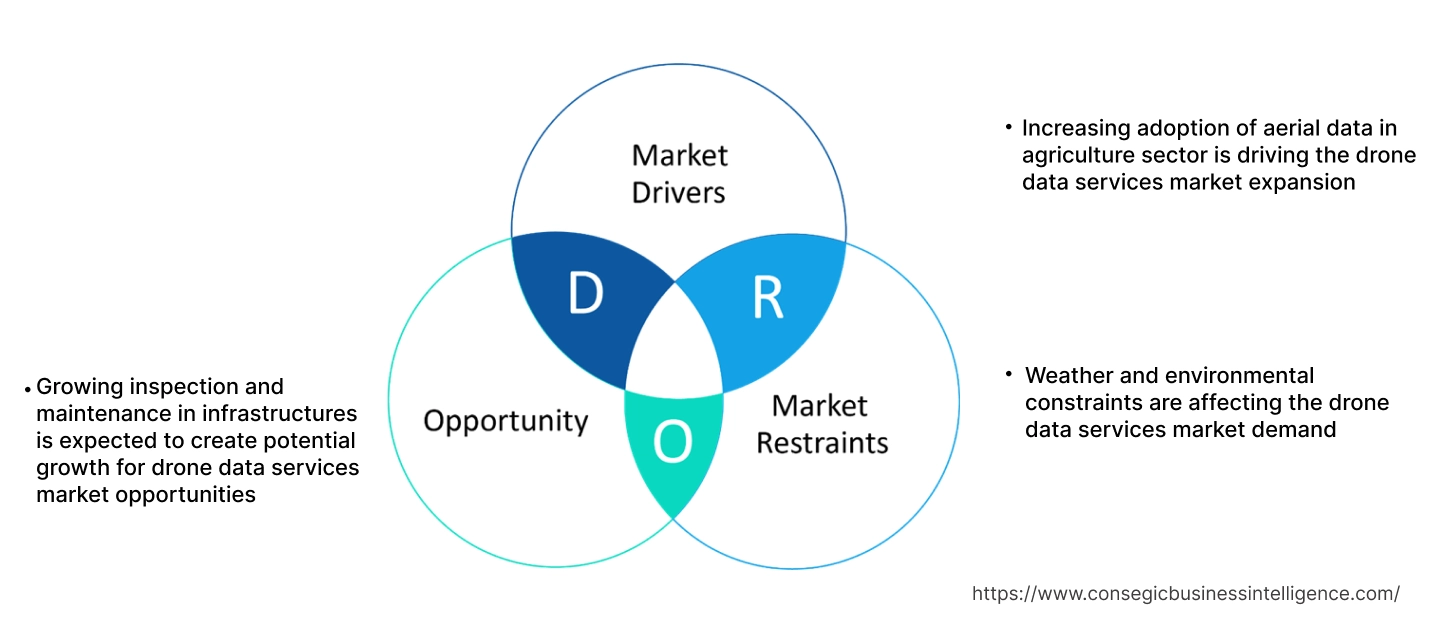 Drone Data Services Market Dynamics